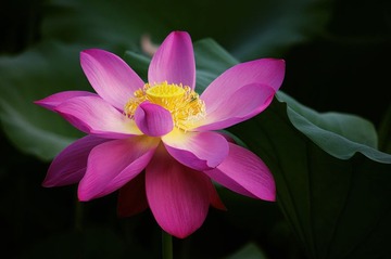 IMGP1593_副本.jpg