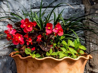 20171007-DSC_1038
