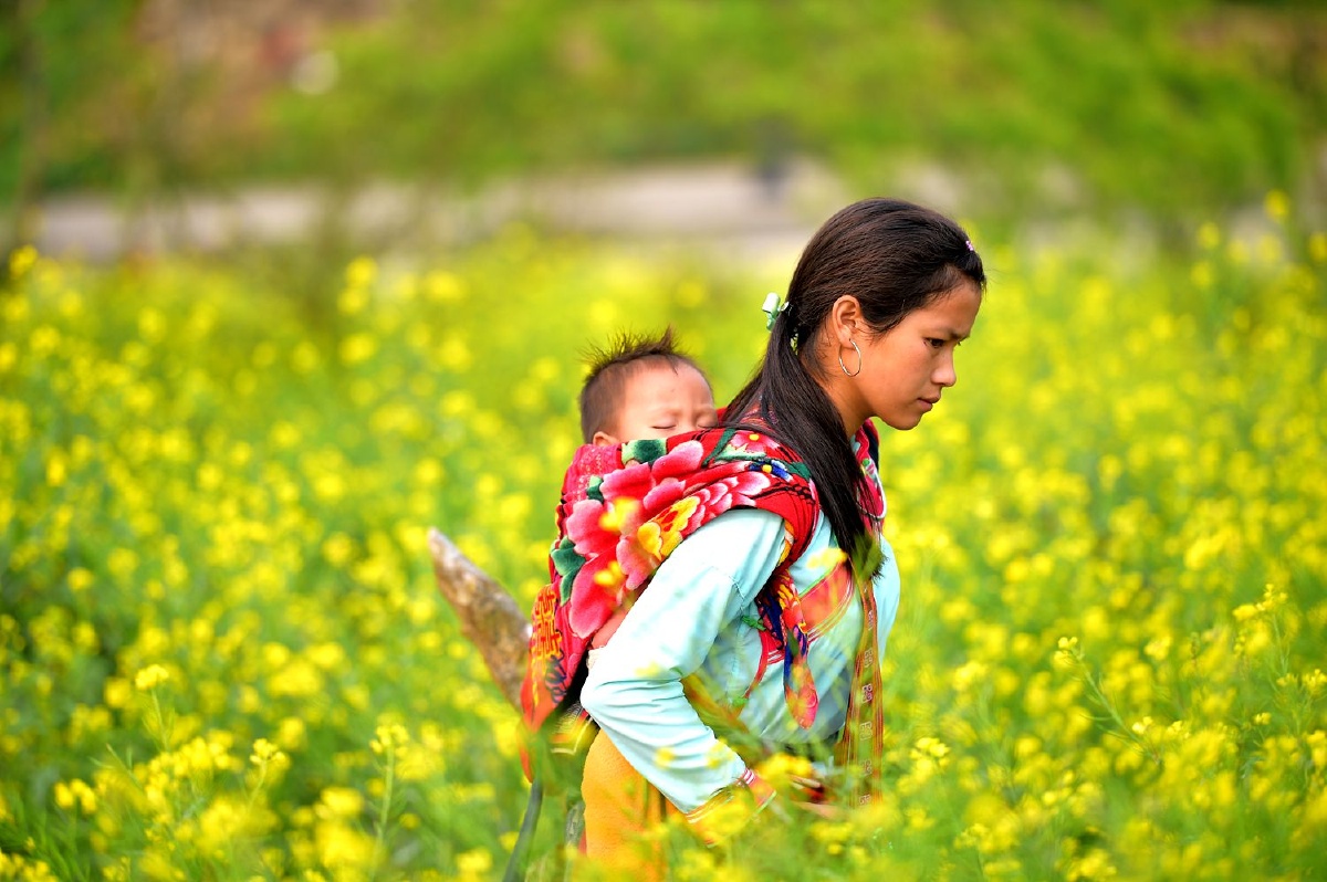 越南的少数民族