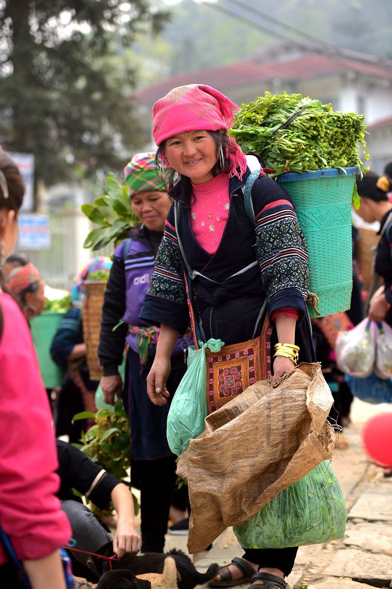 越南的少数民族