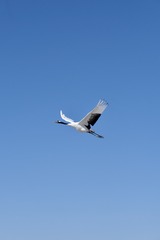 58F8058C-5D6A-45FA-90E7-104B6BFEC754/L0/001