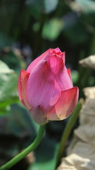 350D359A-A3A1-4A62-8CDC-149F1C59BD18/L0/001