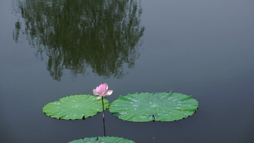 AA406031-97B5-4551-8C0A-2BBDB20A3B8F/L0/001