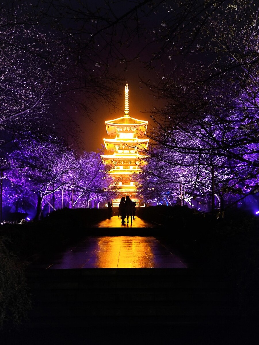 武汉市东湖樱园唯美剪影夜景