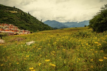 IMG_4322.jpg