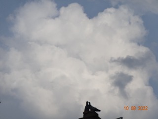 10511