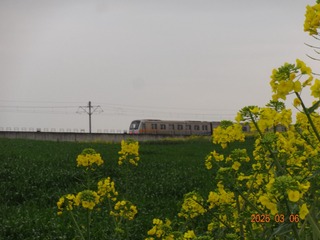 1000042654