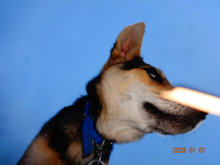 1000106572
