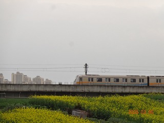 1000042655