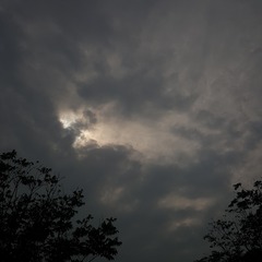 4AF3DF0D-35EC-463E-9712-AA4E3E56DB1E/L0/001