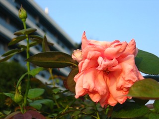 49D6049A-4926-400A-95A6-65300DB8D426/L0/001