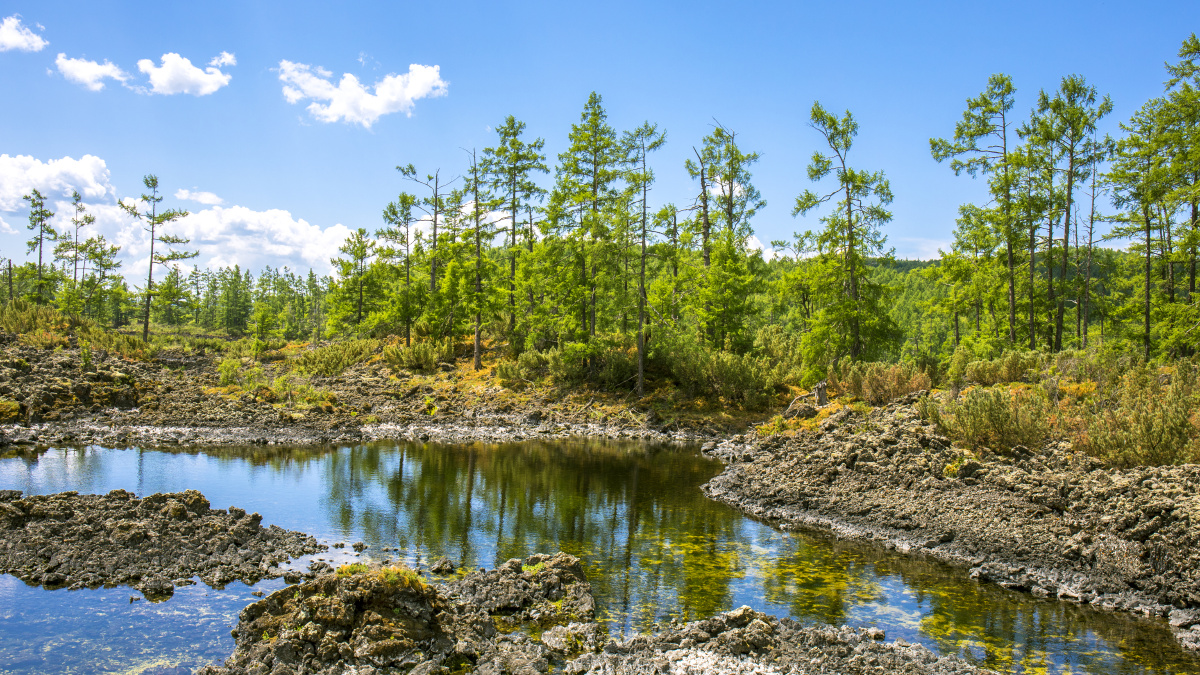 碧水塘池——阿尔山石塘林