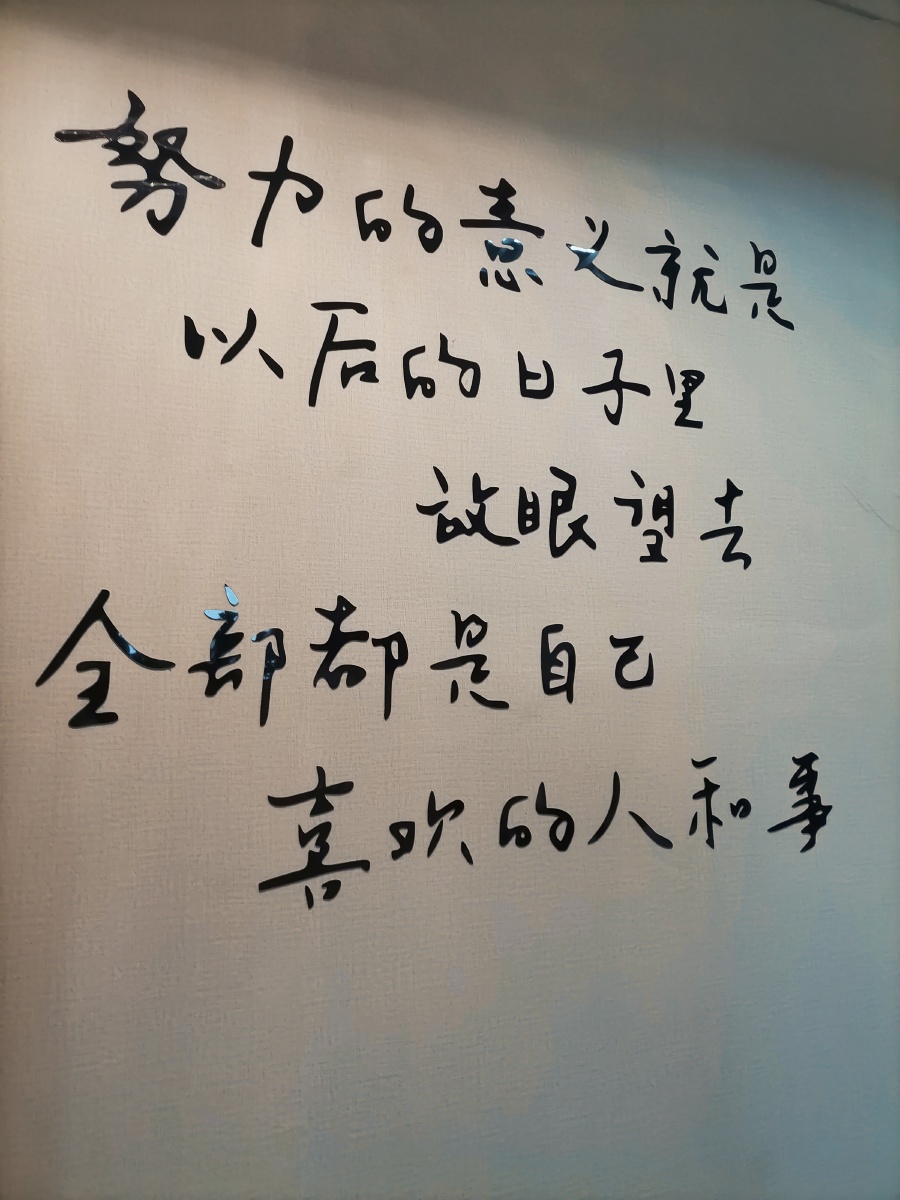 努力的意义就是以后的日子里放眼望去全部都是自己喜欢的人和事