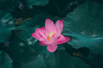 001