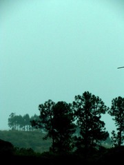 IMG_1184.jpg
