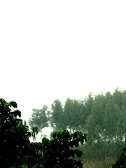 IMG_1185.jpg
