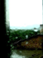 IMG_1187.jpg