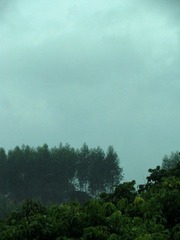 IMG_1191.jpg