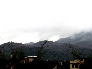 IMG_1193.jpg