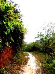 IMG_1264.jpg