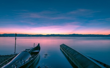 仙湖晨曦