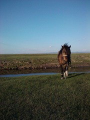 2011-06-04 18.42.35.jpg