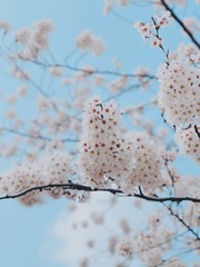 AC9D37C0-A4FF-4DF6-847C-8CBBEBD7B980/L0/001
