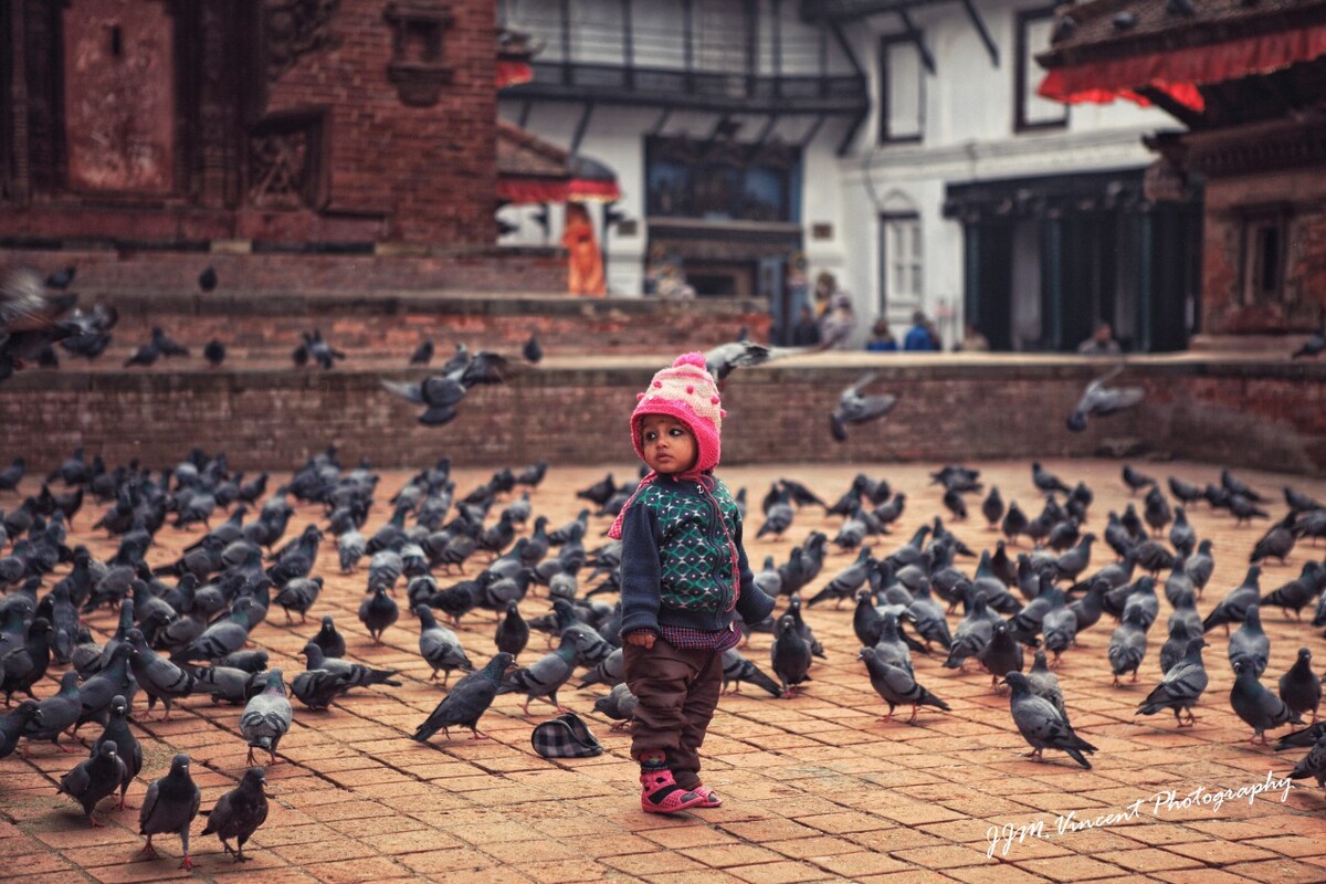 鸽庙的小孩<br />