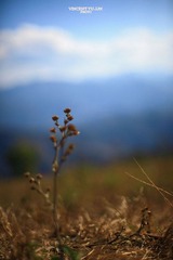 IMG_3909.JPG