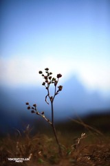 IMG_3922.JPG