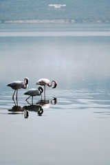IMG_9206.JPG