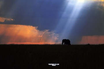 IMG_0573.JPG