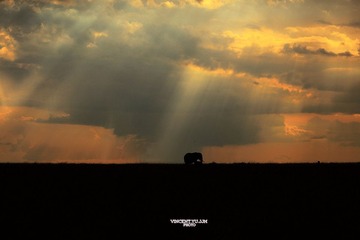 IMG_0575.JPG