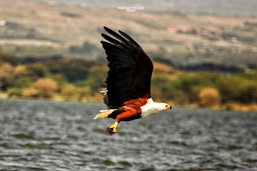 IMG_9992.JPG