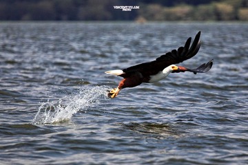IMG_9990.JPG