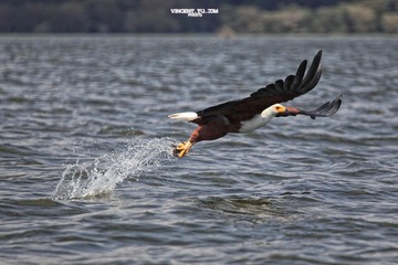 IMG_9990.JPG