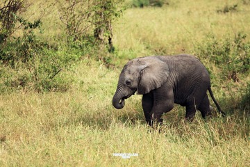 IMG_0859.JPG