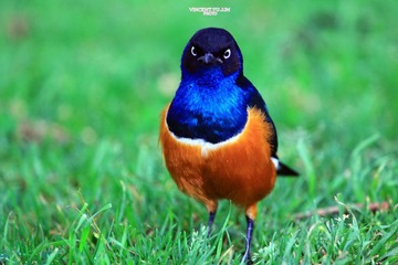 IMG_0157.JPG