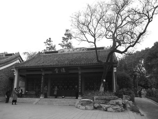 老房老树