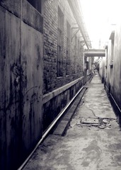 06062011881.jpg