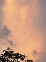 4C7C7418-A3A6-4843-9E3E-B6516A559381/L0/001