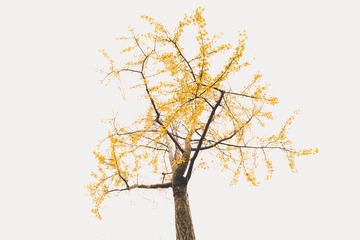 4853BC15-68BC-44BE-B8C5-D8B6764B3DBE/L0/001
