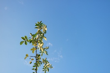 01015565