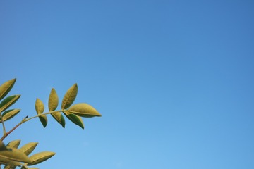 01015576