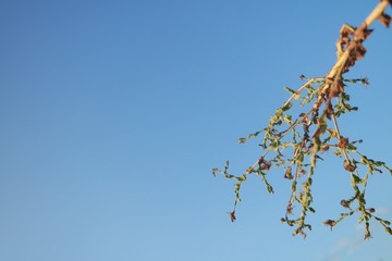 01015570