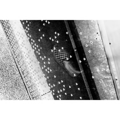 765DC707-0458-4046-9827-95A6080BFC5D/L0/001