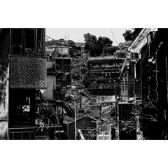 C849AD62-CD85-4039-B6A3-39F5A5ED1188/L0/001