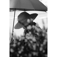 F1763440-3400-48AC-A764-5FC40C65EE2F/L0/001