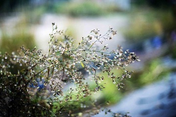 福州十八重溪 1.13.jpg