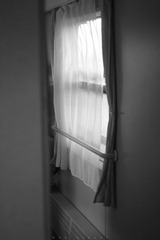 _MG_4716.jpg